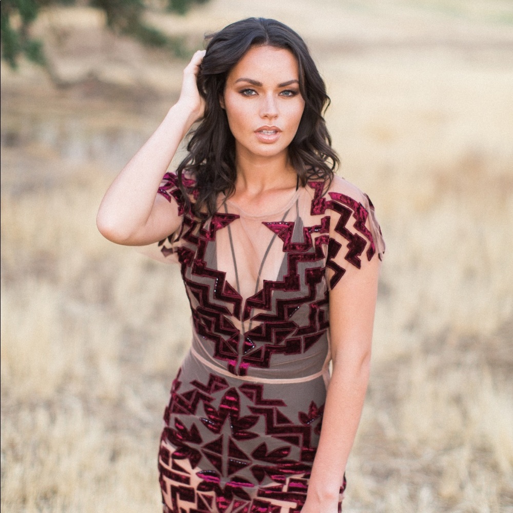 For Love & Lemons semi sheer mesh dress